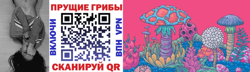Псилоцибиновые грибы Psilocybine cubensis Лениногорск